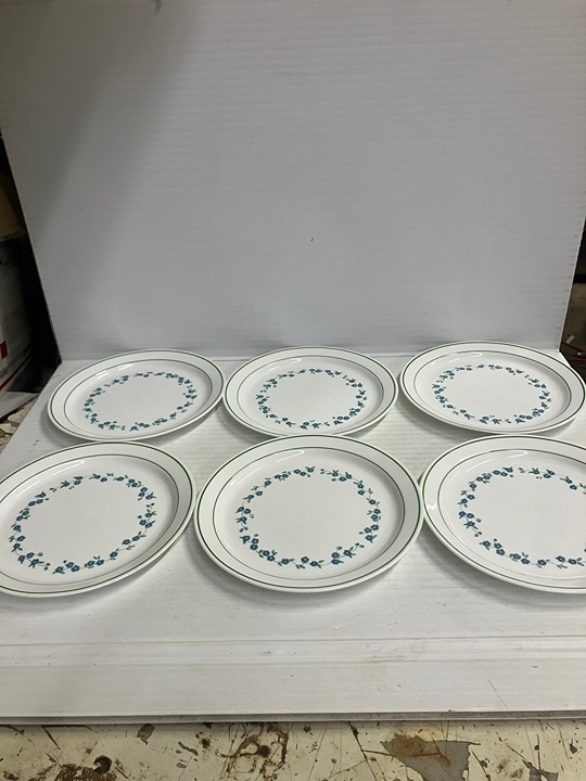 Set of 6, Corelle Forget Me Not Dinner Plates, !