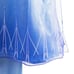 Disney Store Frozen 2 Elsa Travel Costume Dress Set Girls Size 4 NWT Licensed