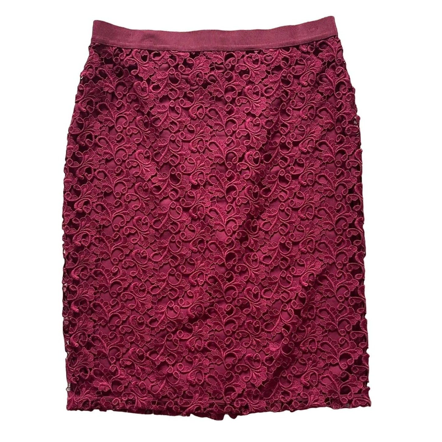 Ann Taylor Lace Skirt Size 10