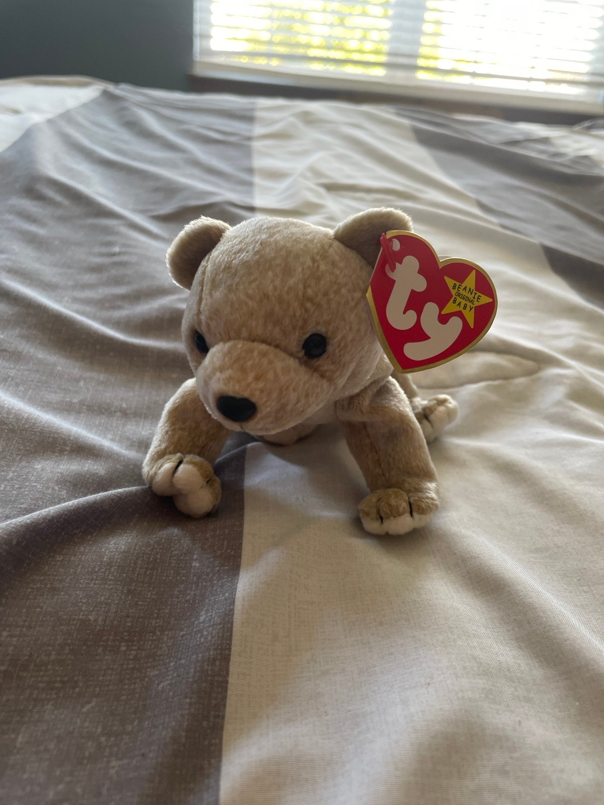 Ty Beanie Babies Almond The Bear