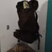 Survival backpack