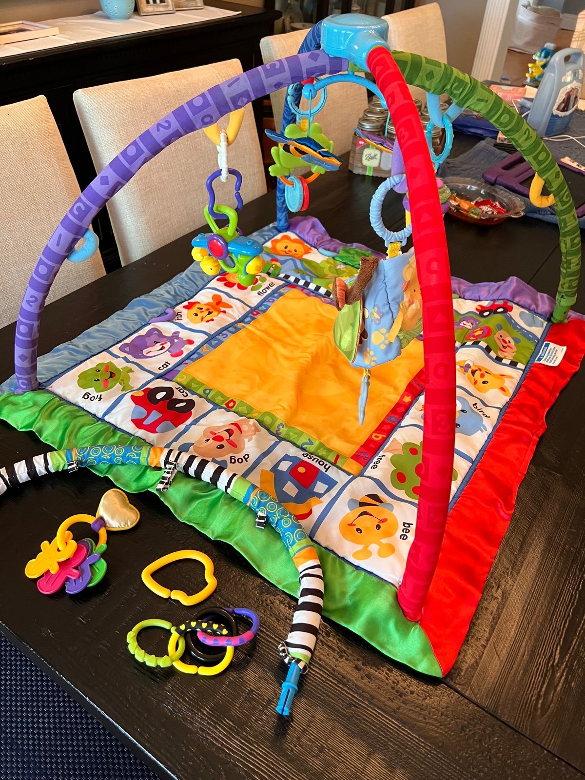 Fisher price play mat