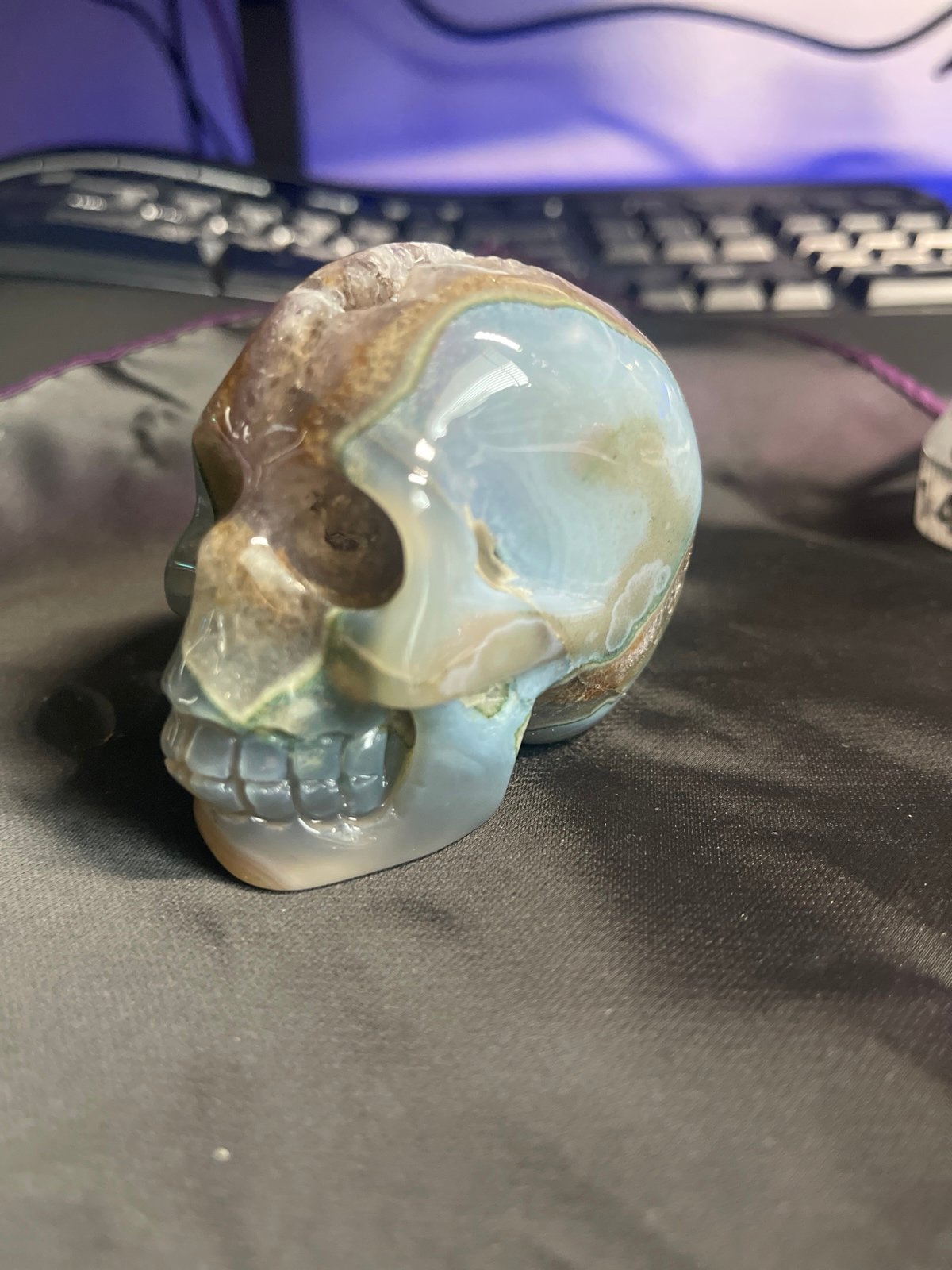 Skull
