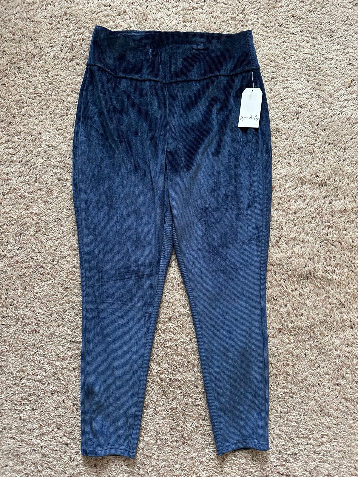 Wonderly Studio Blue Velour Corduroy Design Leggings Size XL Pants