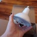 4 Led outdoor lightbulbs with motion sensors