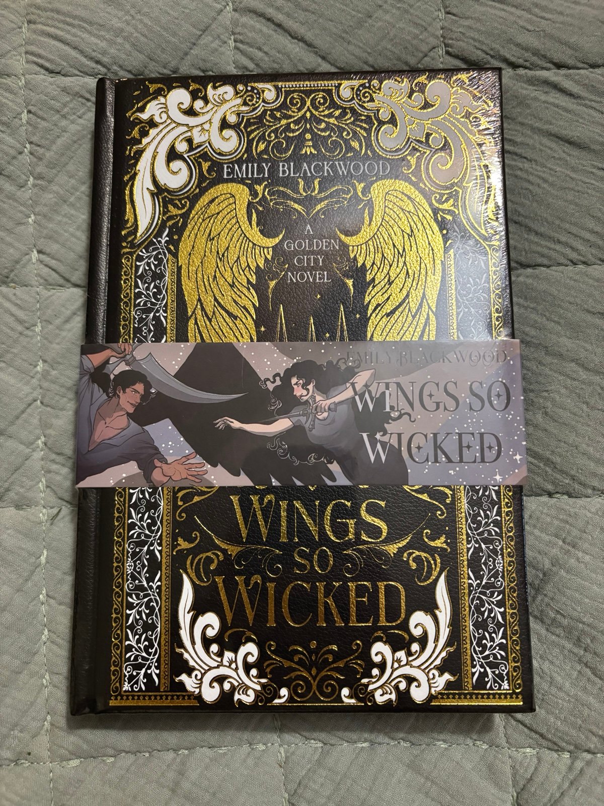 Wings so Wicked Bookish Box Fallen Special Edition, Edges with Hidden Fore-Edge
