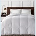 Charter club heavy weight down comforter queen