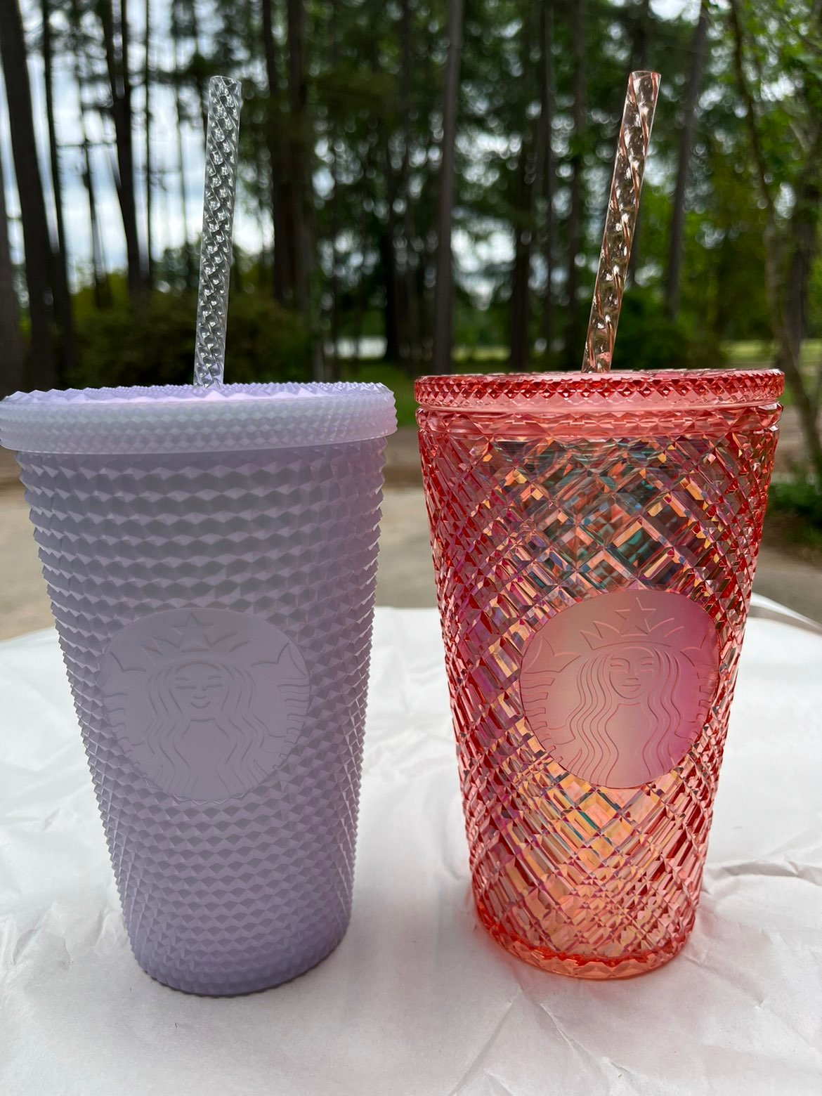 Starbucks 12oz Cold Cups