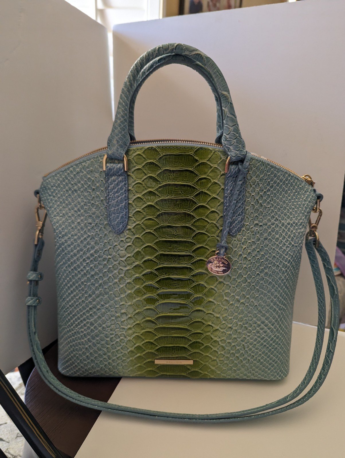 Brahmin Satchel Purse