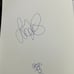 Annika Sorenstam Signed Flag From the 2003 LPGA Championship