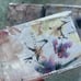 New 4-pack Frontgate 26” x 26” Daphne Bedding Euro Shams 100% Cotton Floral