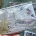 New 4-pack Frontgate 26” x 26” Daphne Bedding Euro Shams 100% Cotton Floral