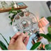 Set of 6 Glass Coasters