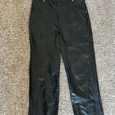 BlankNYC the Baxter leather pants