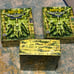 Lot Of 3 MetaZoo Wilderness 1st Edition Card Game Spellbook Box Factory NIB SIB