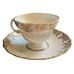 Rosina Bone China Tea Cup & Saucer Set Made In England Floral & Gold Design