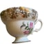 Rosina Bone China Tea Cup & Saucer Set Made In England Floral & Gold Design