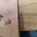 Puff June 1999 issue Hoshin Engi Phantom Thief Jeanne Gravitation