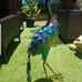 Peacock garden decor (each)