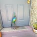 Peacock garden decor (each)