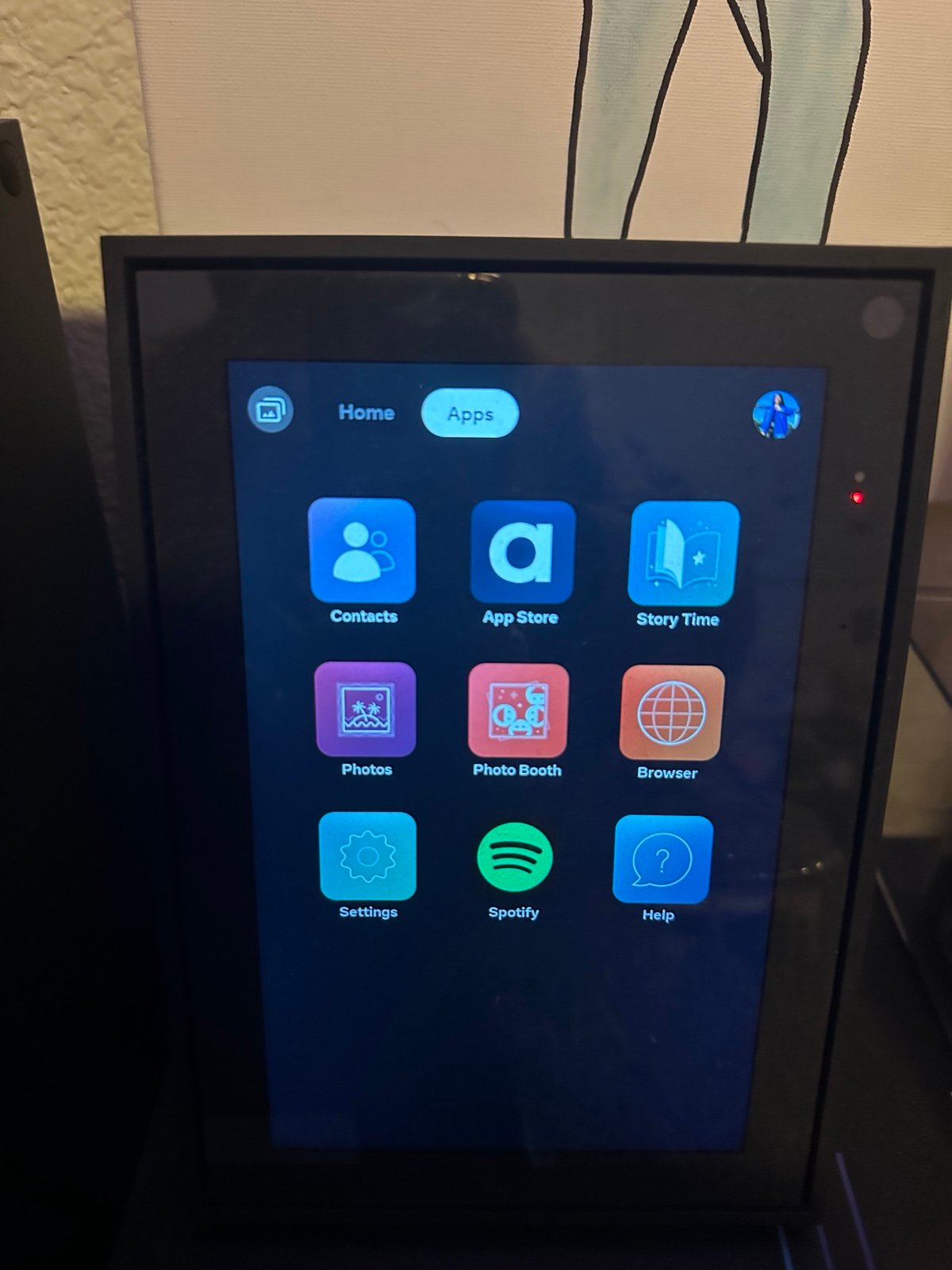 Facebook 10in. video portal