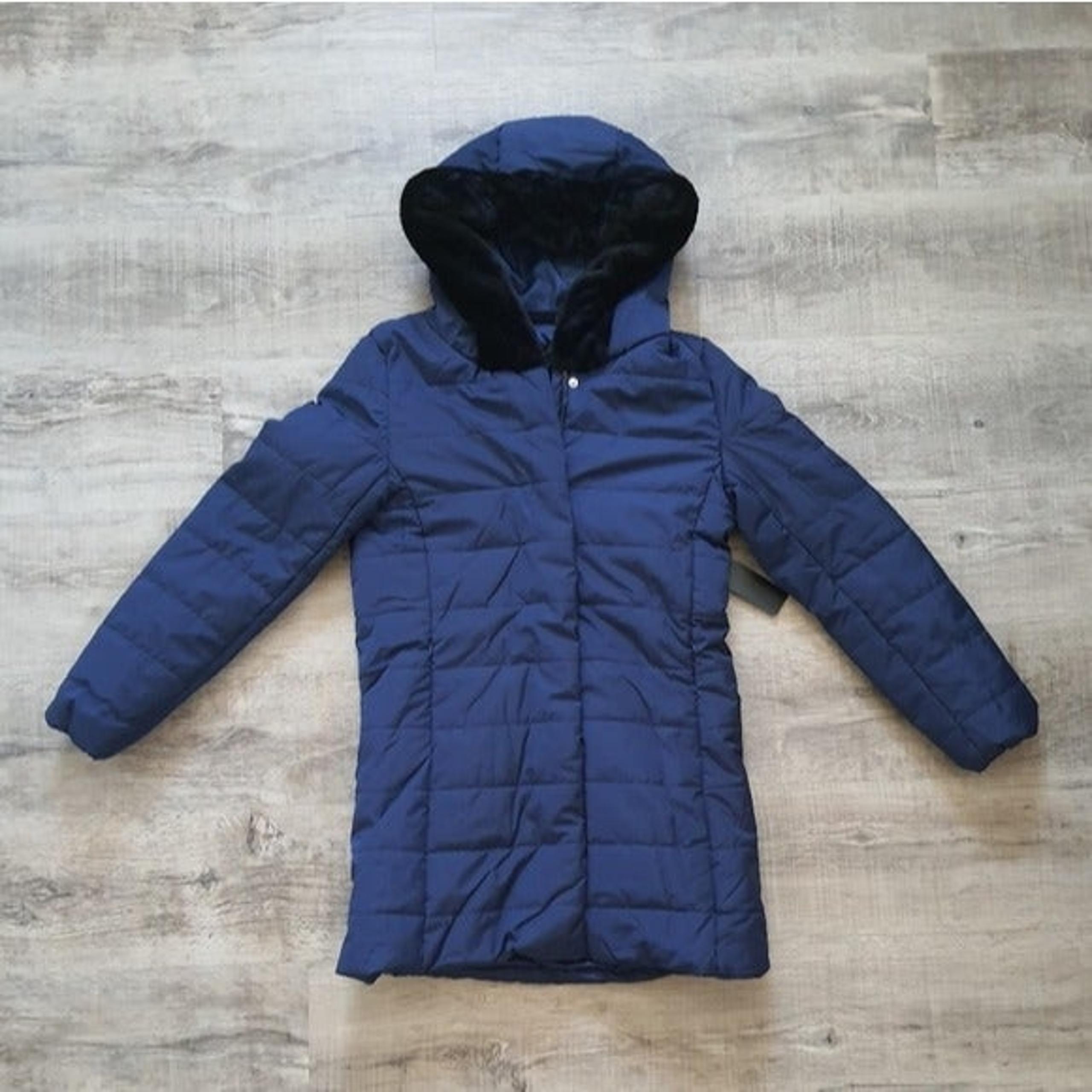 Ambiance Women's Blue Puffer Jacket