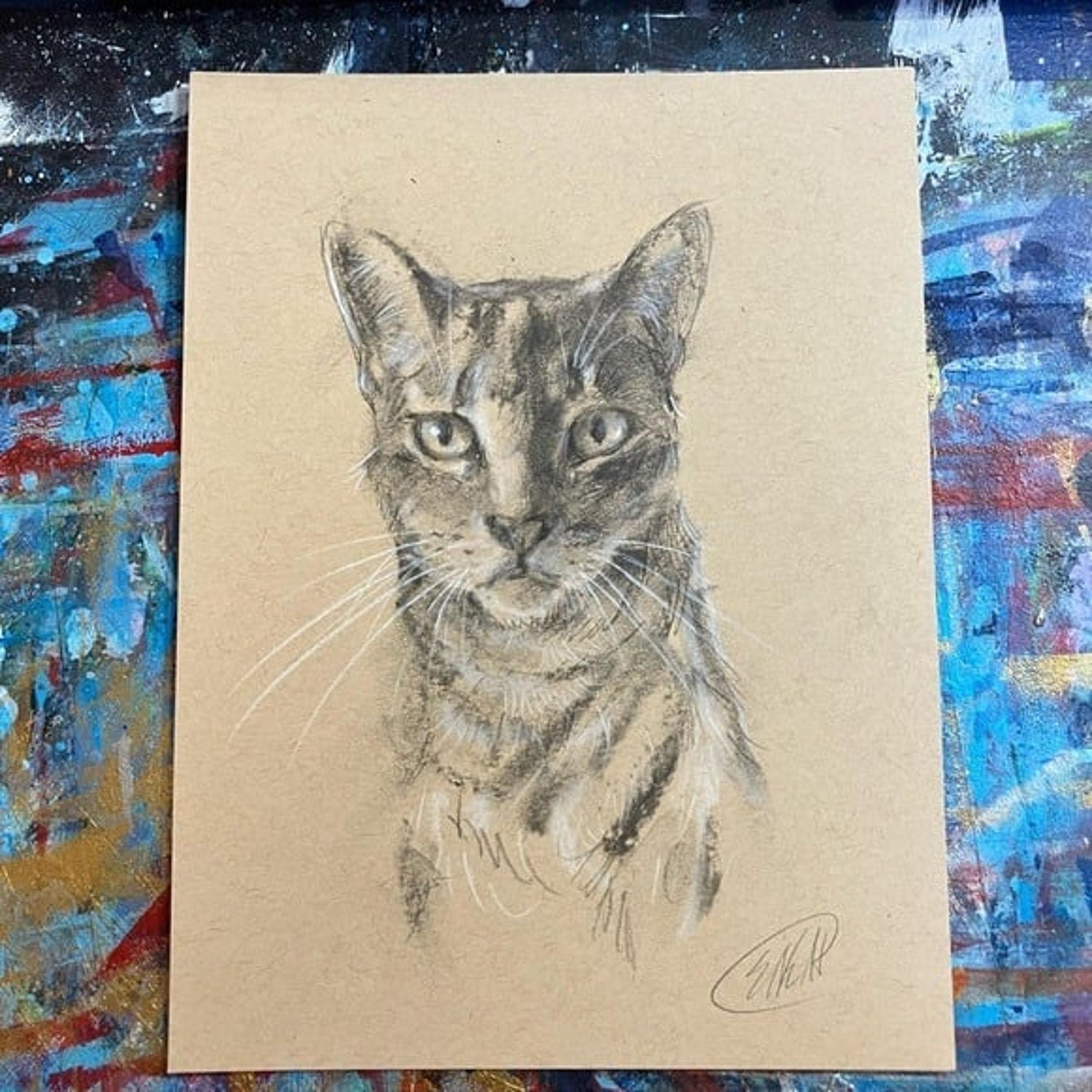 Original painting Cat Art Charcoal pastel Pet Portrait Animal Sketch Artettina