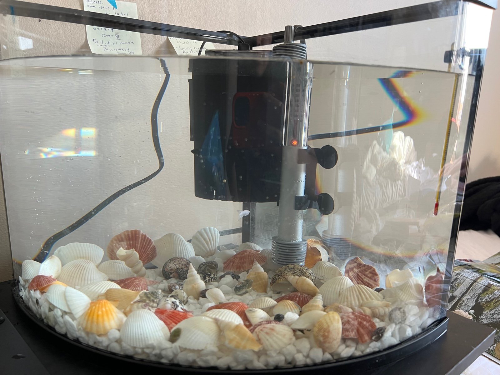 Fish tank