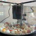 Fish tank