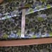 Free People Boho Ditzy Floral Sheer Tiered V Neck Peasant Dress Cottage Small