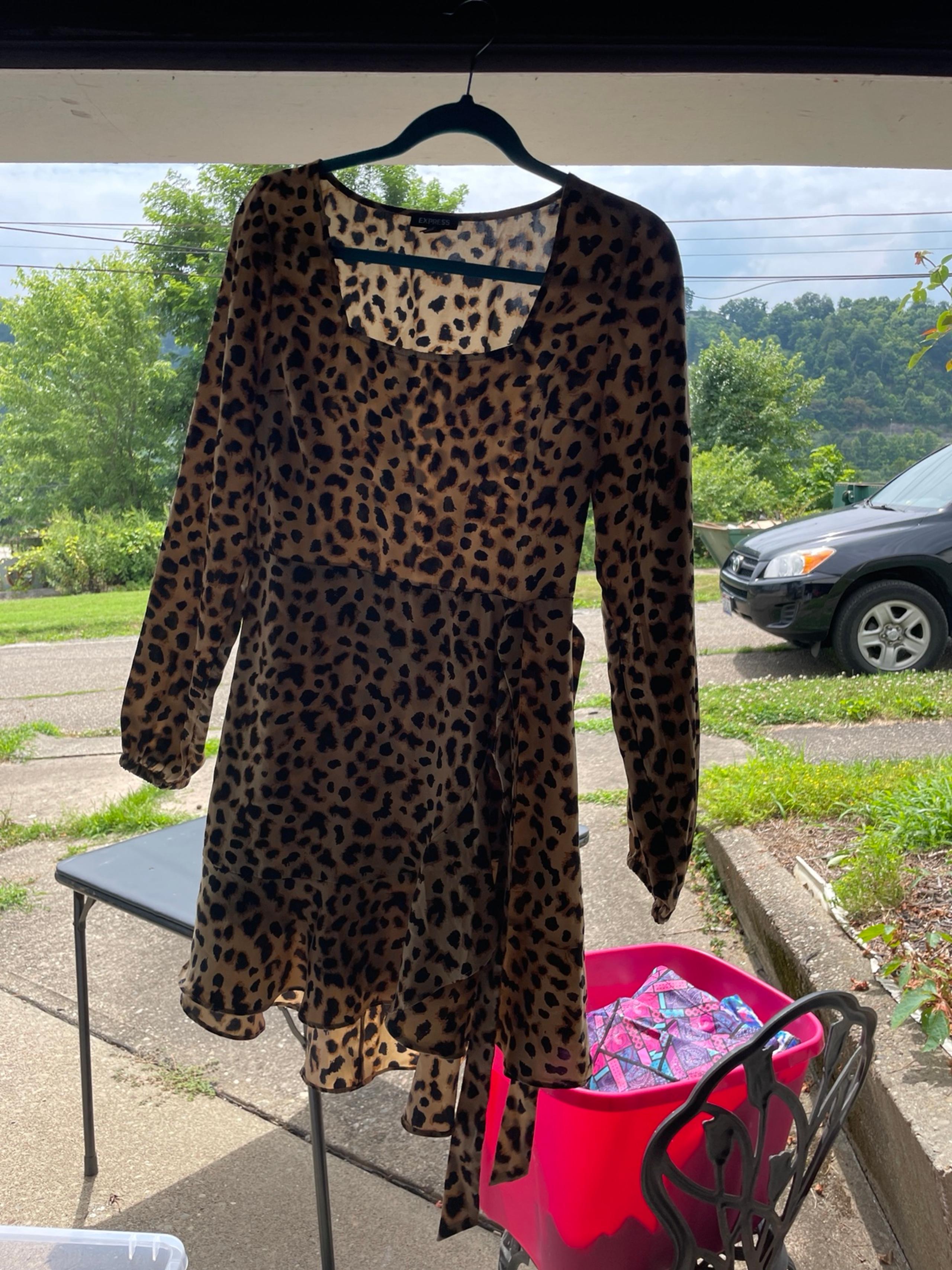 Express leopard print Dress