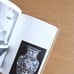 The Biography of Baryu Hasami Limited Edition of 1200 copies, Published in 1967 (Showa 42)