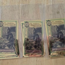 30 Goldback Aurum 24Kt gold note 10 notes 1 gold back 40 are 1/2 goldback Florid
