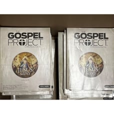 The Gospel Project Chronological Jesus Saves Volume 9 ( 30 pcs )