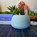 Zima Dental Pod - Sky Blue, Open Box, Like New