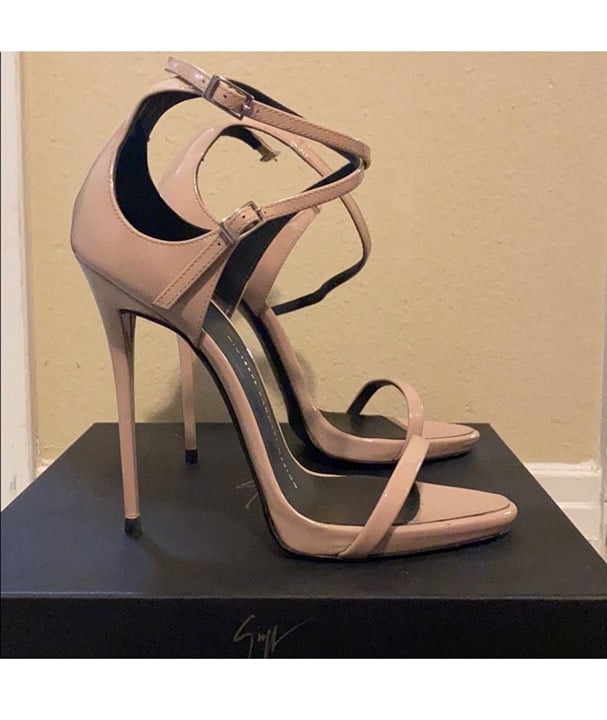 Giuseppe Zanotti Darcie