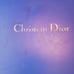 Christian Dior Briefcase