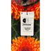 Desigual Womens Floral T Shirt Mini Dress Size Small New Short Flower Artsy