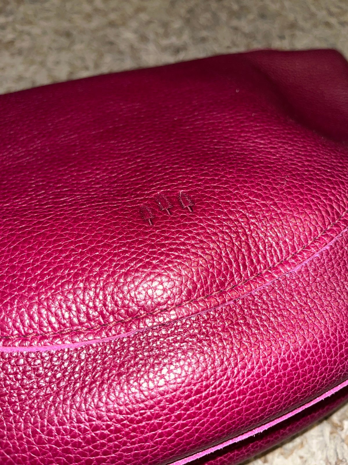 Large brand new orchid koala