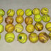 Used Softball Balls, Lot of 28, Meet NFHS standard, for Practice, Dog Toys, etc.