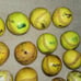 Used Softball Balls, Lot of 28, Meet NFHS standard, for Practice, Dog Toys, etc.
