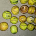 Used Softball Balls, Lot of 28, Meet NFHS standard, for Practice, Dog Toys, etc.