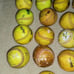 Used Softball Balls, Lot of 28, Meet NFHS standard, for Practice, Dog Toys, etc.