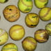 Used Softball Balls, Lot of 28, Meet NFHS standard, for Practice, Dog Toys, etc.