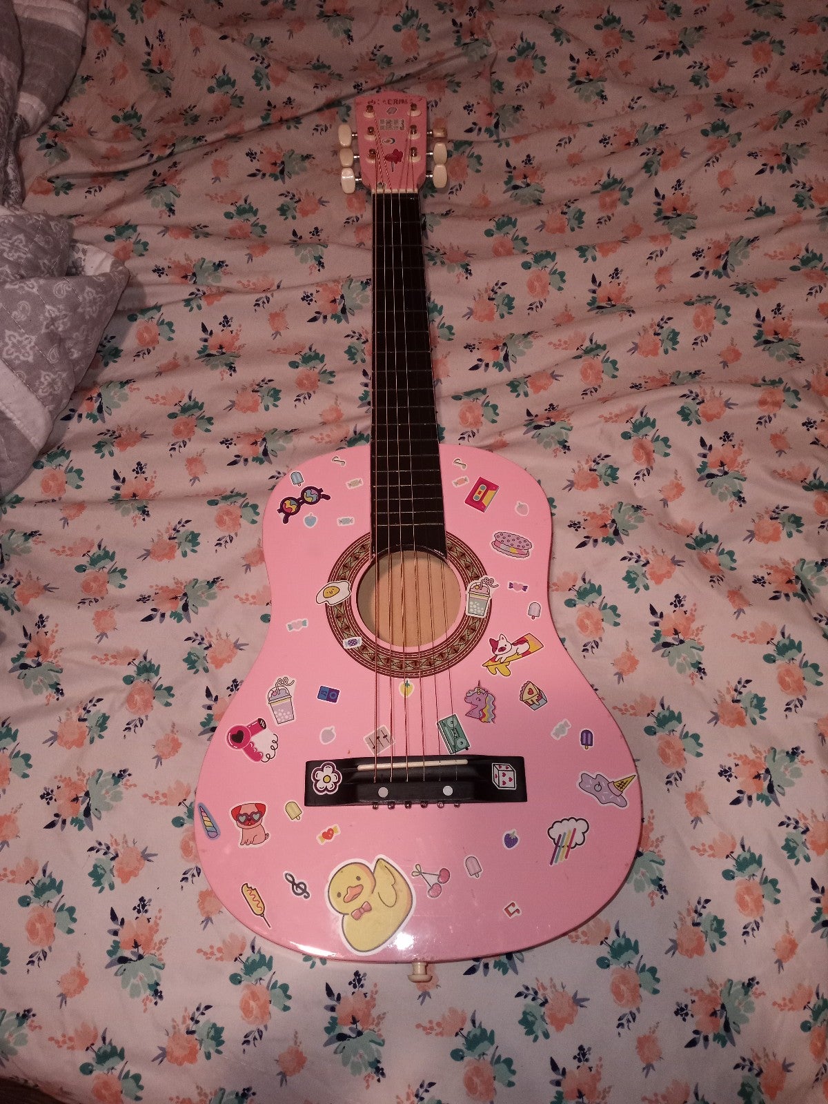 Guitar