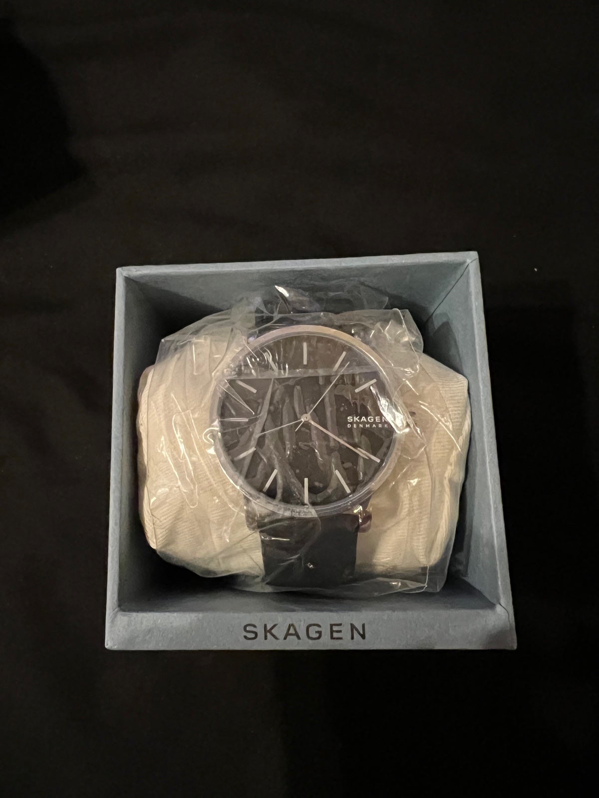 Skagen watch *NEW IN BOX* with tags