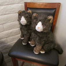 Ty Classic Cat PRISSY (SET OF TWO)