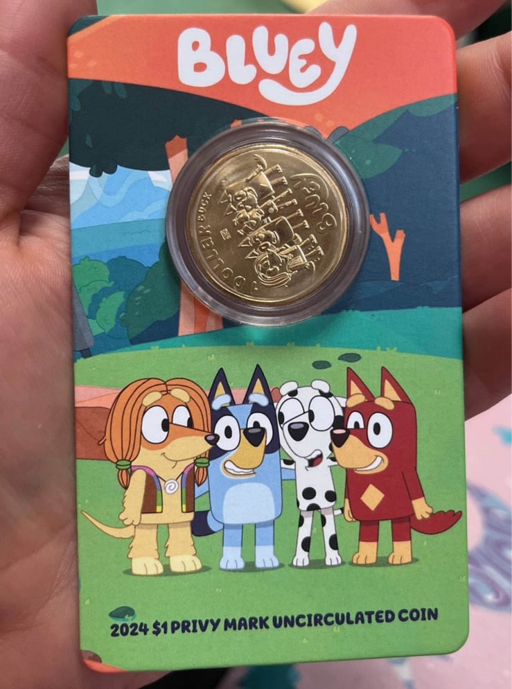 Bluey and friends coin