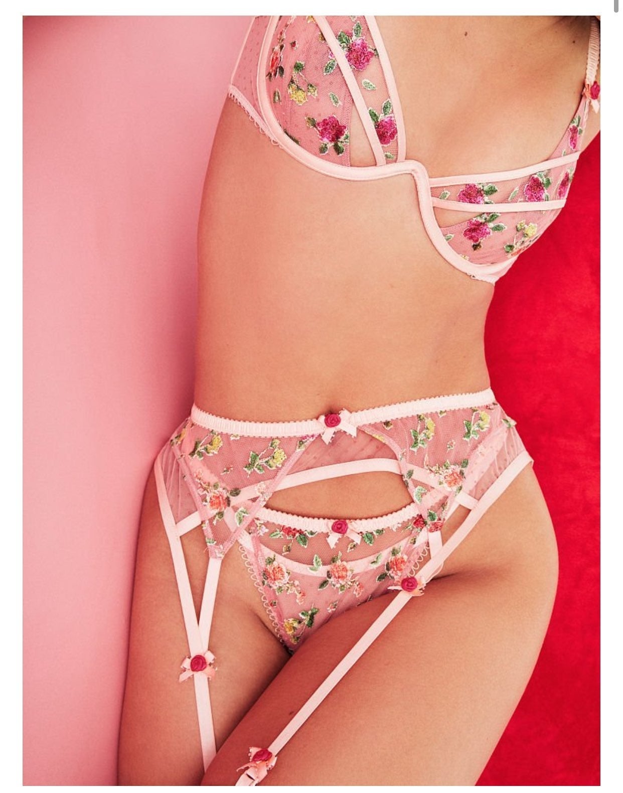 NWT VS For Love and Lemons Garter Belt