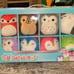 squishmallow anniversary box
